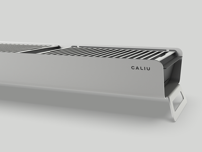 Caliu Catering Barbecue Table Top Catering